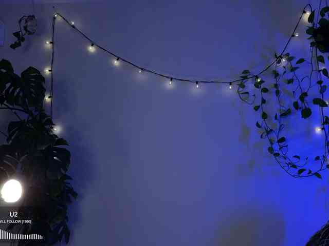 SOVA_tut webcam