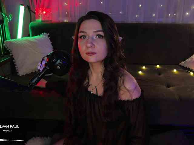 SOVA_tut webcam