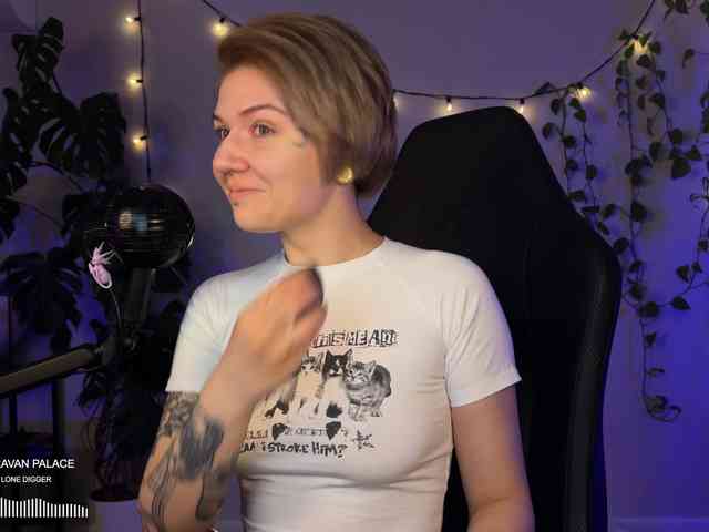 SOVA_tut webcam