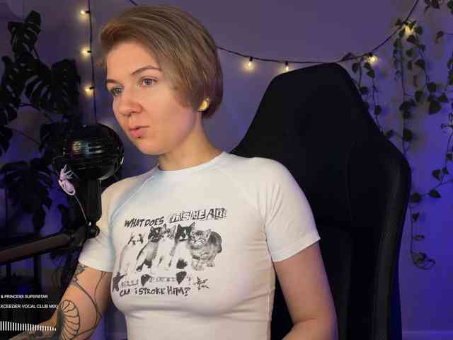 SOVA_tut webcam