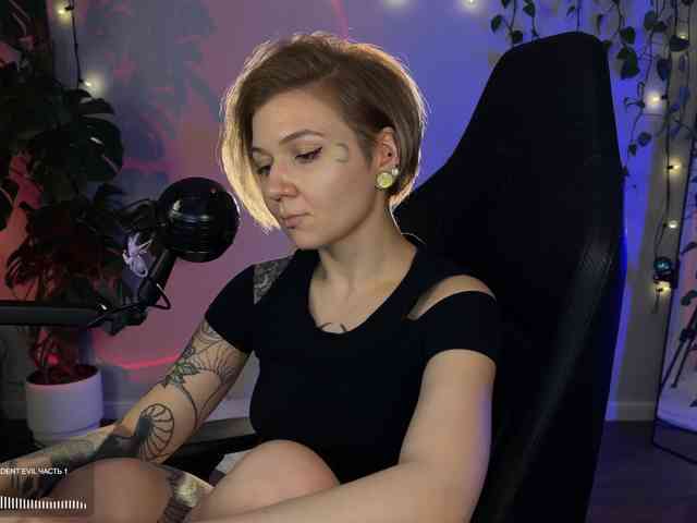 SOVA_tut webcam