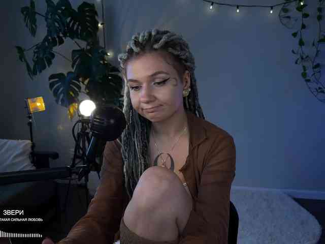 SOVA_tut webcam