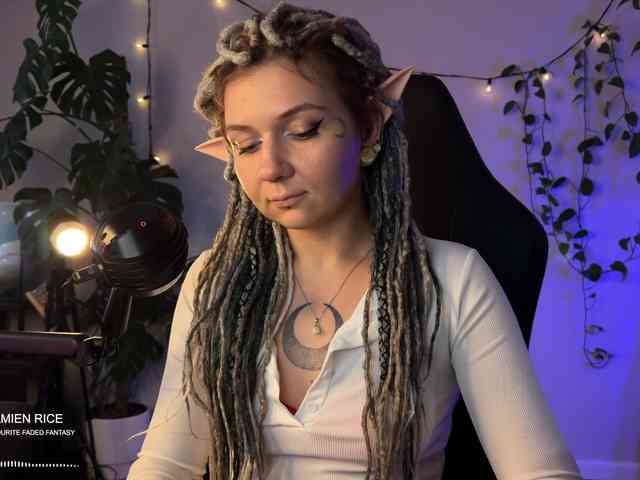 SOVA_tut webcam