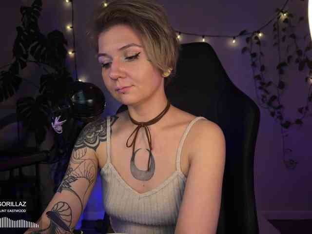 SOVA_tut webcam
