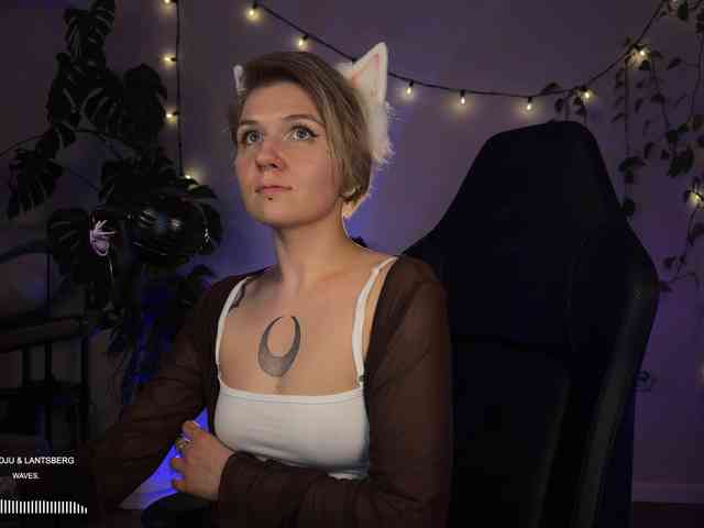 SOVA_tut webcam