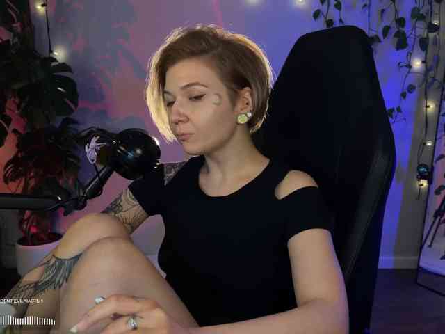 SOVA_tut webcam