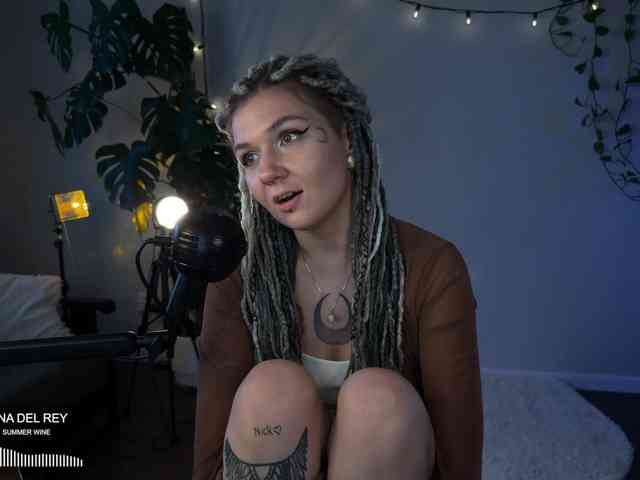 SOVA_tut webcam