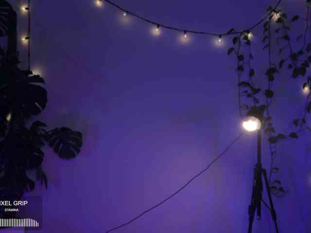 SOVA_tut webcam