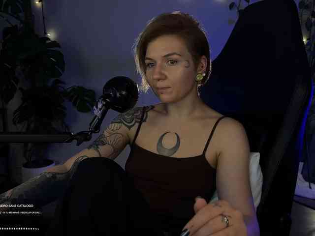 SOVA_tut webcam