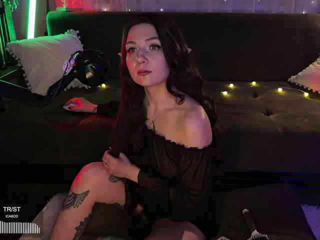 SOVA_tut webcam