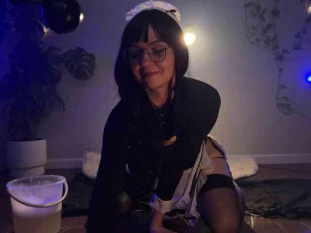 SOVA_tut webcam