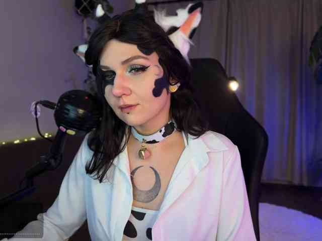 SOVA_tut webcam