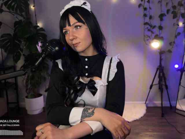 SOVA_tut webcam