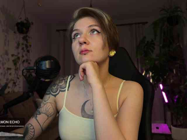 SOVA_tut webcam