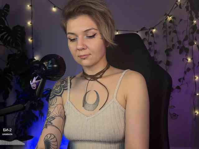 SOVA_tut webcam