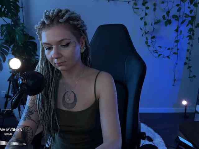 SOVA_tut webcam