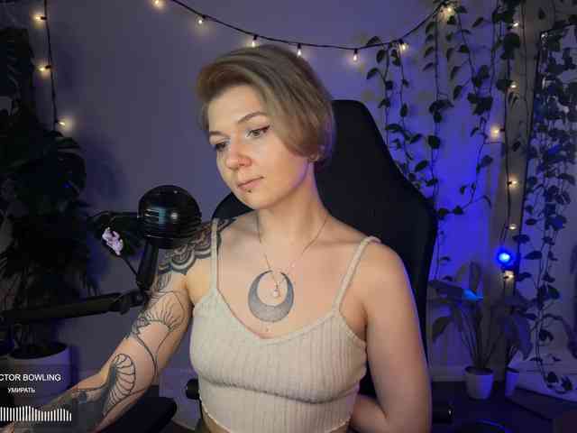 SOVA_tut webcam