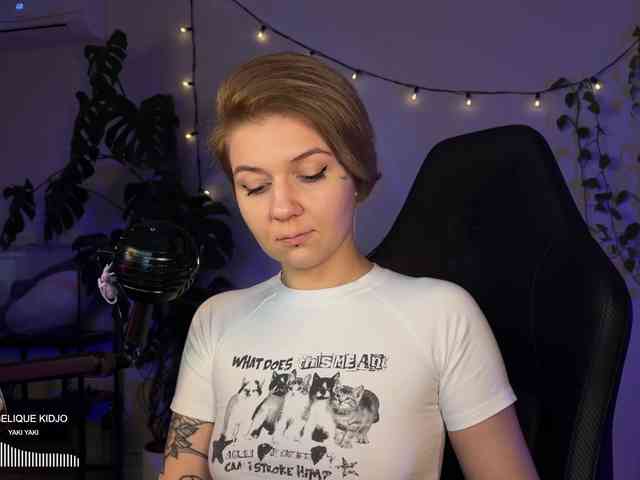 SOVA_tut webcam