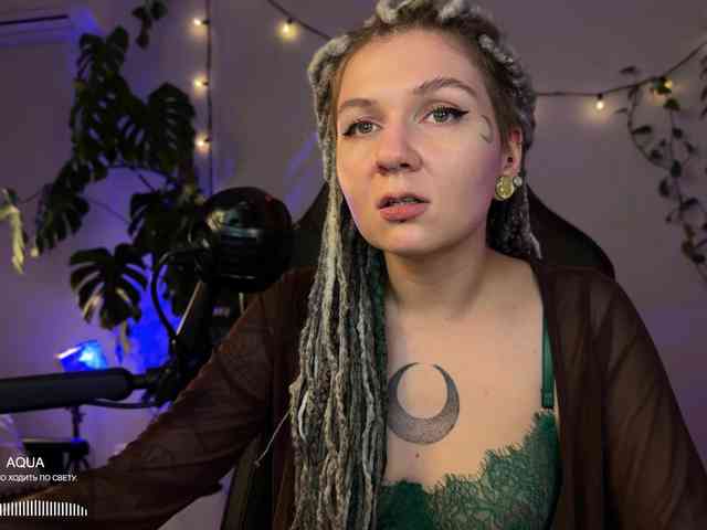 SOVA_tut webcam