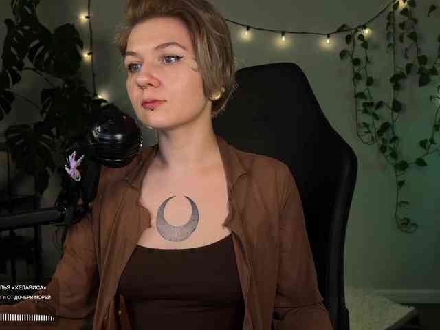 SOVA_tut webcam