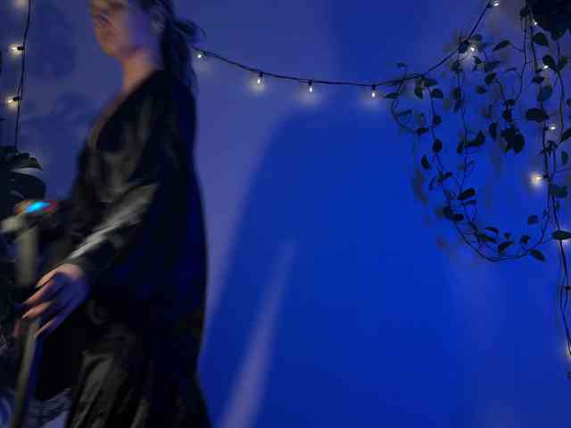 SOVA_tut webcam