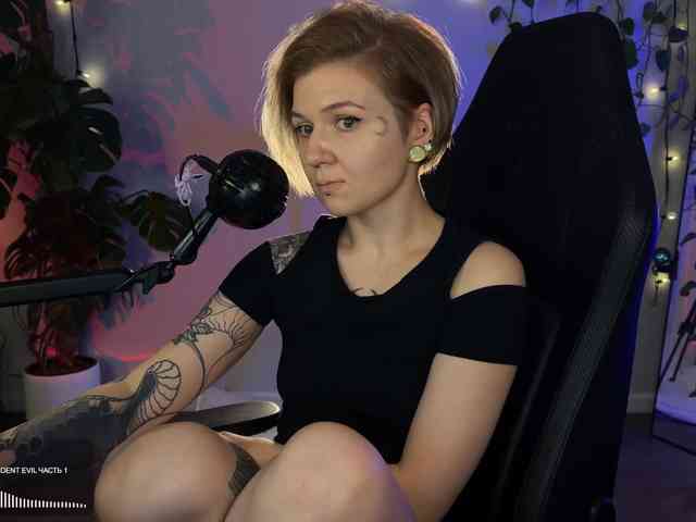SOVA_tut webcam