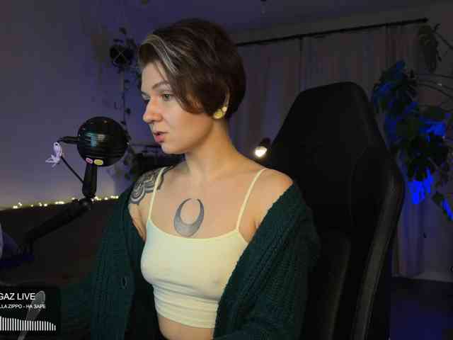 SOVA_tut webcam