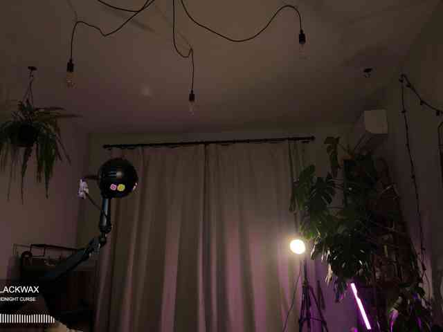 SOVA_tut webcam