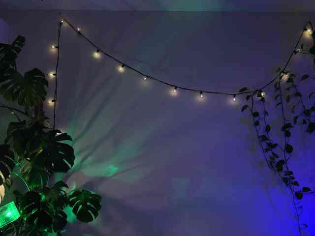 bySOVA Sex Cam Show