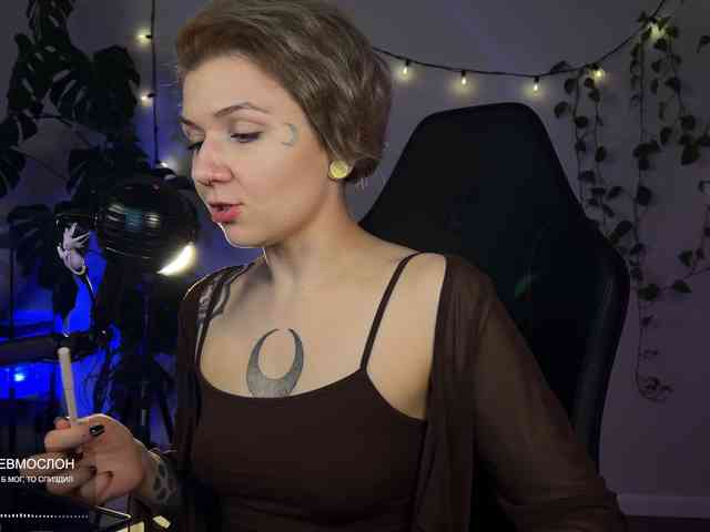 SOVA_tut webcam