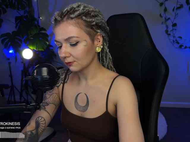 SOVA_tut webcam
