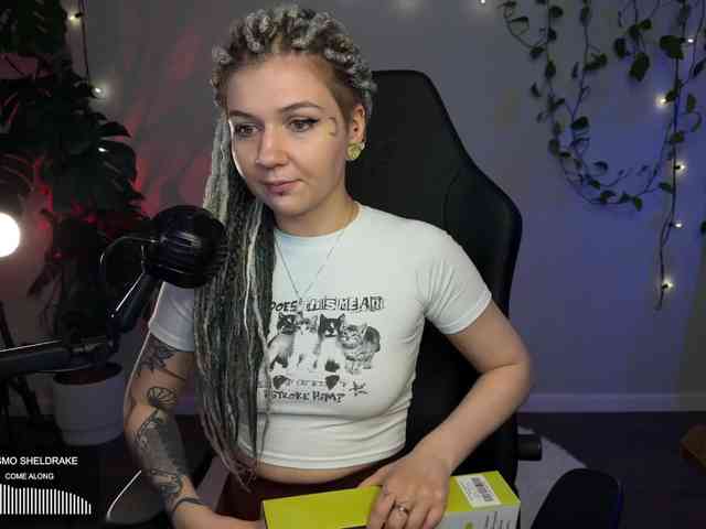SOVA_tut webcam