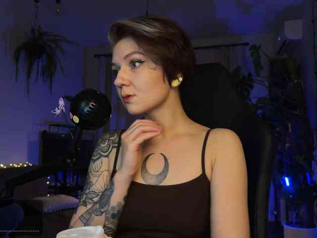 SOVA_tut webcam