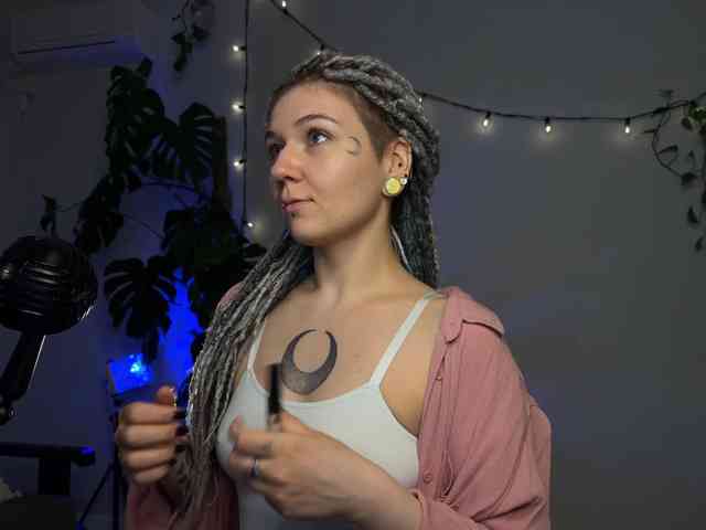SOVA_tut webcam