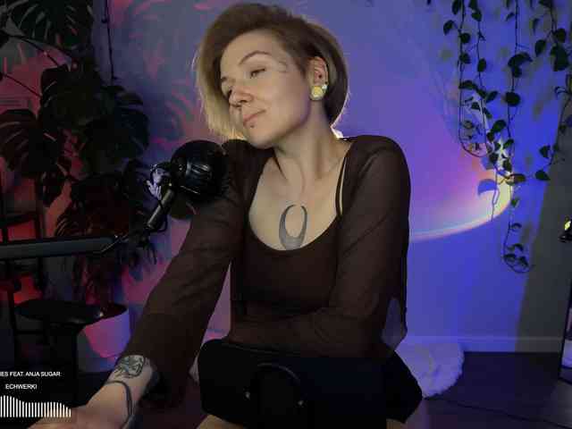 SOVA_tut webcam