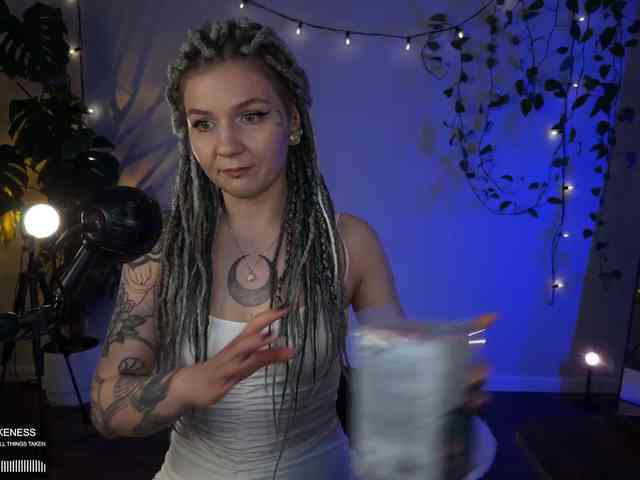 SOVA_tut webcam