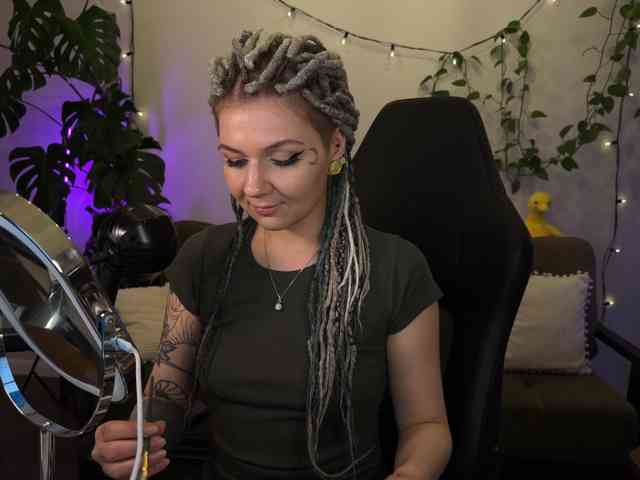 SOVA_tut webcam
