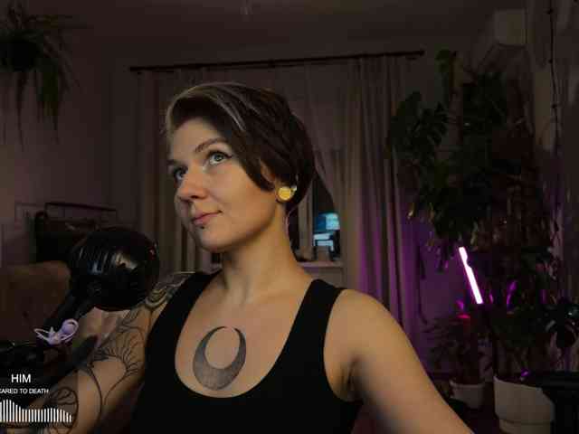 SOVA_tut webcam