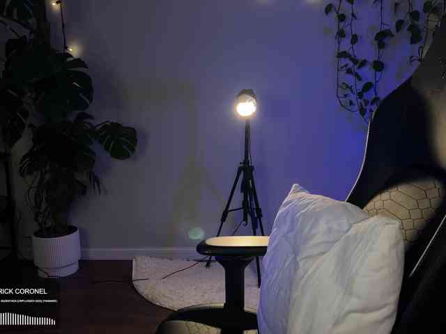 SOVA_tut webcam