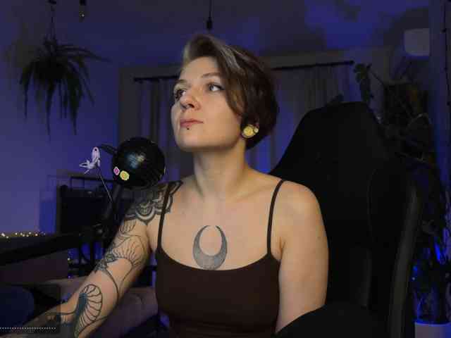 SOVA_tut webcam