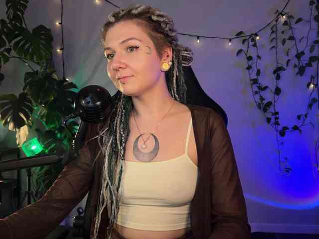 SOVA_tut webcam