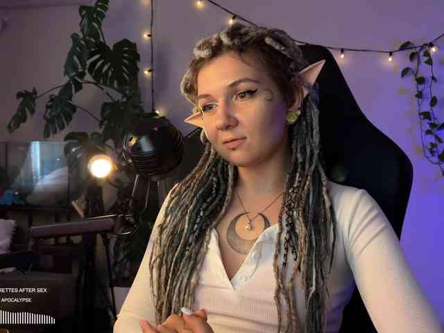 SOVA_tut webcam