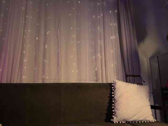 SOVA_tut webcam
