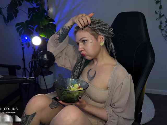 SOVA_tut webcam
