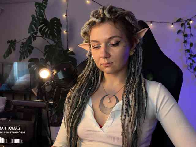 SOVA_tut webcam