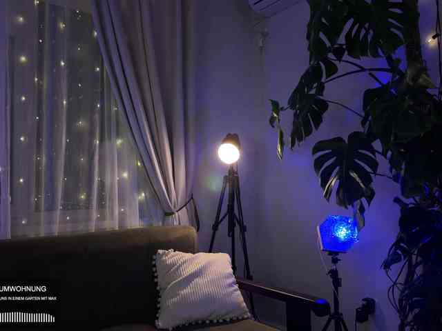 SOVA_tut webcam