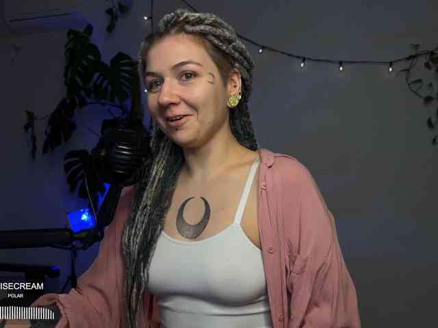 SOVA_tut webcam