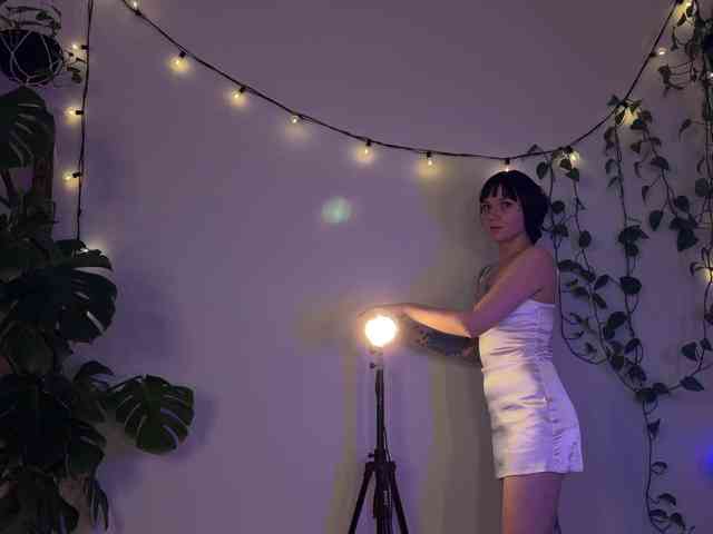 SOVA_tut webcam