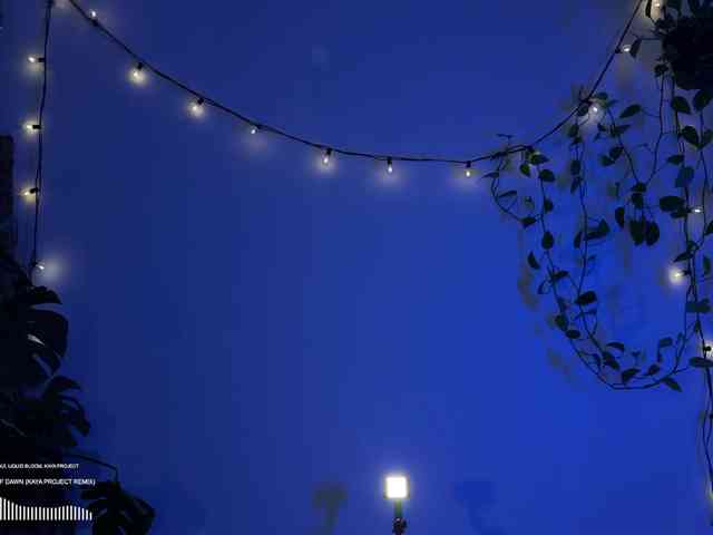 SOVA_tut webcam