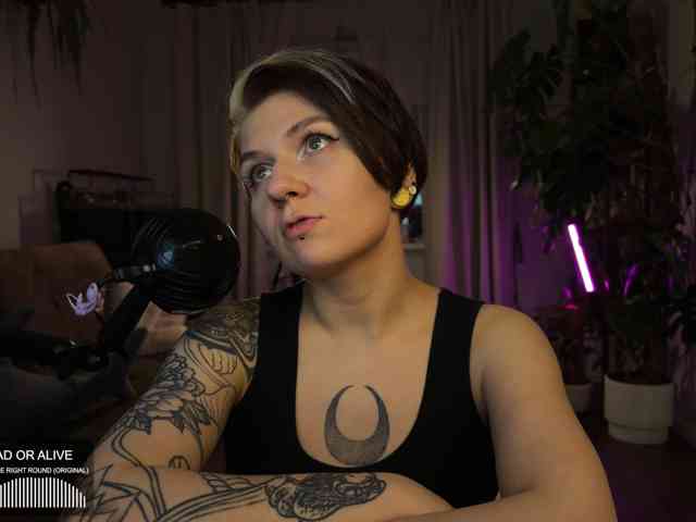 SOVA_tut webcam